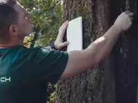 ihrbaum.ch - Klicken Sie, um das Bild 4 in einer Lightbox vergrössert darzustellen