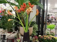 Design Flowers