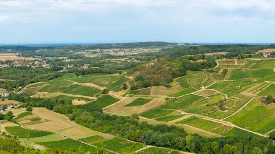 Mountainbiken im Jura