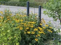 bfw Gartenbau AG