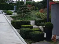 PAYSAGISTE JARDINIER JOVANOVIC