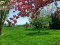 Jardins Créations Sàrl - Klicken Sie, um das Bild 8 in einer Lightbox vergrössert darzustellen