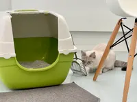 Katzen-Praxis.ch