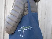 Manège et Poney Club de Presinge
