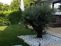 J.Dos Reis Paysagiste et Maçonnerie