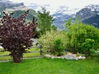 Ellès Jardins Sàrl