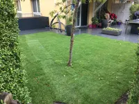 Stern Gartenbau AG