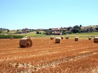 Gemeindeschreiberei Einwohnerkontrolle Kallnach - Klicken Sie, um das Bild 20 in einer Lightbox vergrössert darzustellen