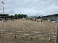 Restaurant du Centre Equestre le Cheval Blanc - Klicken Sie, um das Bild 8 in einer Lightbox vergrössert darzustellen