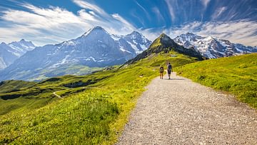Wanderwege Nordwestschweiz