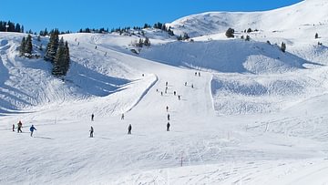 Skifahren in Waadt