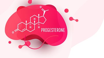 Progesteron_Frauenarzt