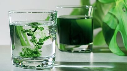Chlorophyll Wasser 