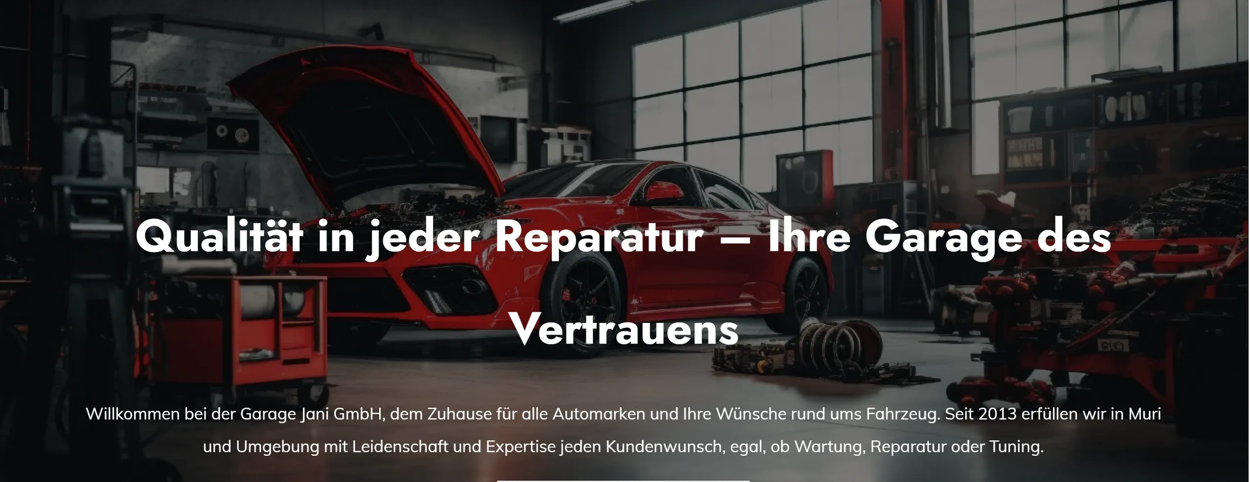 Jani Garage GmbH