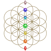 Praxis für Lebendigkeit - Manuela Hofstetter - Kinesiologie, Systemische Aufstellungen, Seminare-Logo