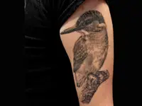 magicneedletattoo 2.0