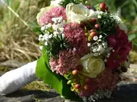 Blumen Zweerus
