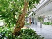 Luwasa Greenstyling AG
