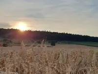 AGRO-Treuhand Region Zürich AG - Klicken Sie, um das Bild 1 in einer Lightbox vergrössert darzustellen