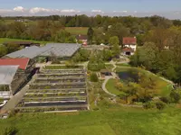 Biogärtnerei & Naturgärten Neubauer