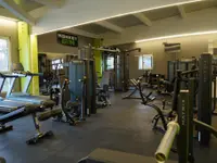 Monkey Gym Sagl