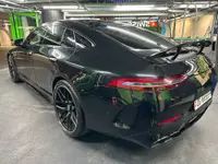 Swiss Green Mamba