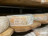 Azienda Agricola Ai Pianoi