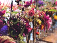 Fleuriot Fleurs, Fleuriste la Corraterie