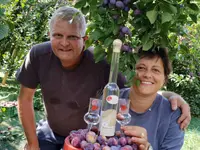 Distillerie Schneider Sàrl - Klicken Sie, um das Bild 13 in einer Lightbox vergrössert darzustellen