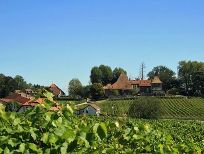 Caves du Château