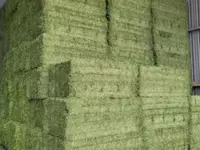 Servizi e lavori agricoli - Bassi Mirko