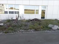 Geiser Gartenbau - Klicken Sie, um das Bild 2 in einer Lightbox vergrössert darzustellen