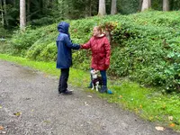 Hundeschule Barts - Klicken Sie, um das Bild 6 in einer Lightbox vergrössert darzustellen