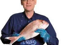 El Pescador by DER FRISCH-FISCH MERCATO