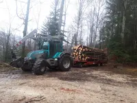 Entreprise forestière