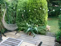 GartenElfe Andrea Junker