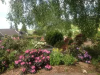 Baumann Gartenbau AG