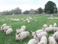 La Ferme En Croix