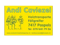 Andi Caviezel Holztransporte
