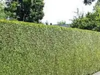 Mahrer Gartenbau GmbH