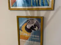 Studio Sintesi Di Frangi Alessandro