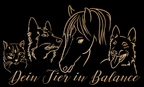 Tierenergetik & Hundetraining Evelyn Gantert
