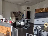Dog Saloon & Cat Toilettage