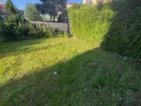 Sauser Espaces Verts