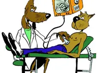 dr. Mazzi Michele