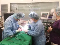 Centro Veterinario Preluna