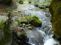 Pisciculture du Gottéron