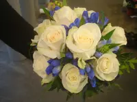 Fiorito