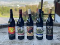 Weinbau Leuengrund - Schneider Weine