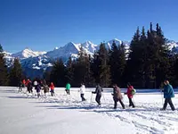 Beatenberg Tourismus - Klicken Sie, um das Bild 11 in einer Lightbox vergrössert darzustellen